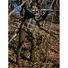 Штани Chevalier Spey Stretch Pants Tobacco Green Фото 5
